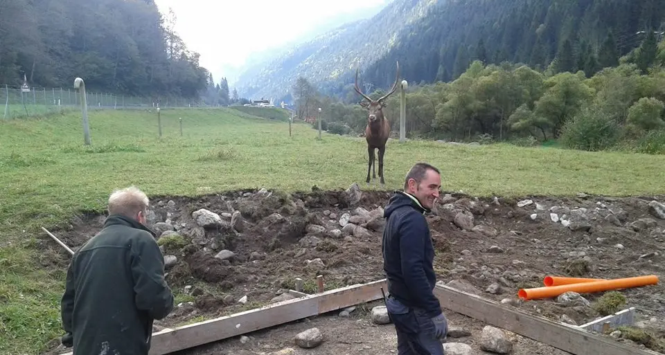 Nuovo direttore dei lavori al Parco di Paneveggio