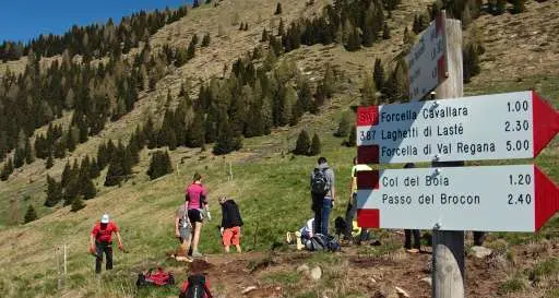 Sentieri, volontari della Sat all'opera Dal Brenta alle Pale di San Martino tanti gli interventi sui percorsi