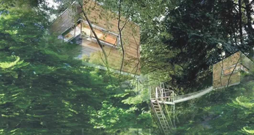 Le prime vacanze nella casa sull'albero