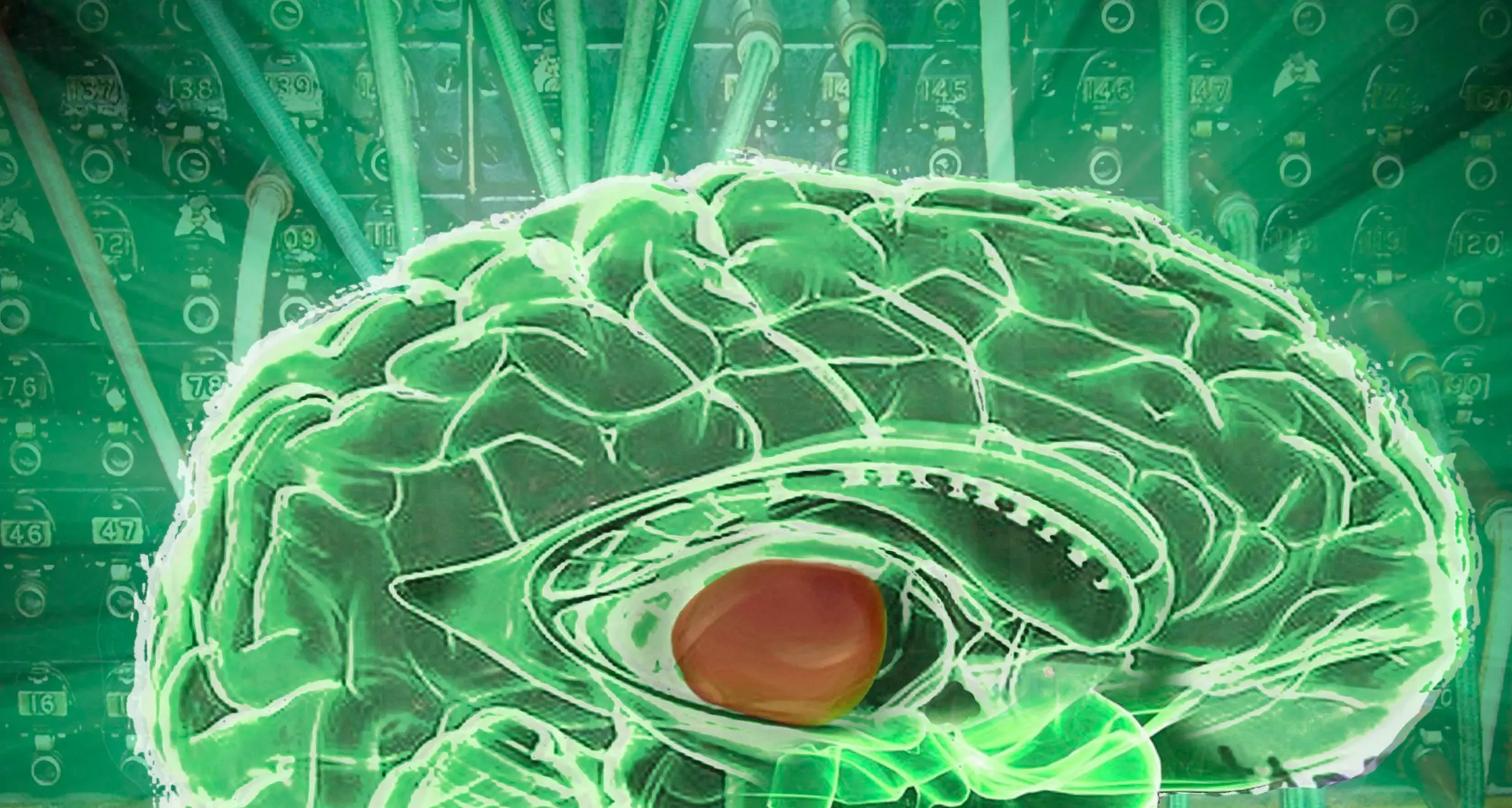 L'Università di Trento misura le onde cerebrali quando vediamo una donna come oggetto