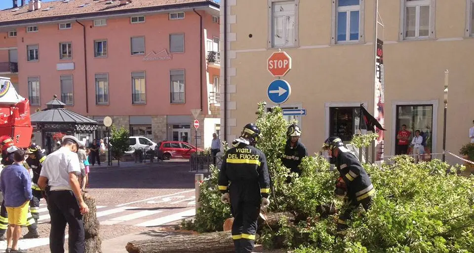 Abbattuto dal vento l'albero della piazza