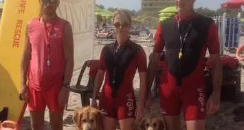 Cani bagnini salvano bimbo in mare