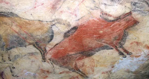Denti di 8.600 anni fa spostano indietro origine agricoltura