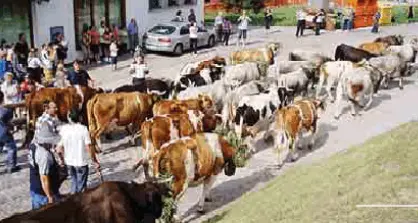 Desmalgada da Stramaiolo e Cambrancoi