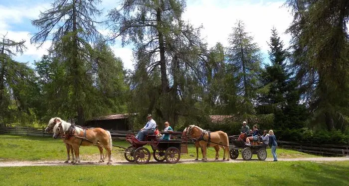 Alpe di Siusi, cinque feriti nella carrozza rovesciata