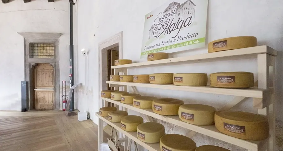 Formaggi all'asta con Slow Food
