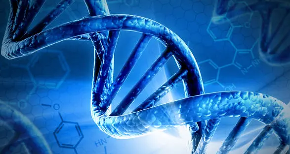 C'è vita dopo la morte, almeno per il Dna