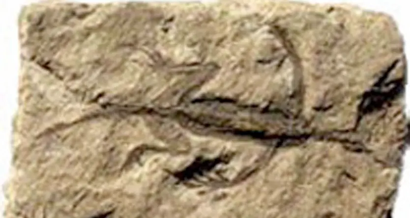 Bedollo chiede la restituzione del suo antenato di dinosauro