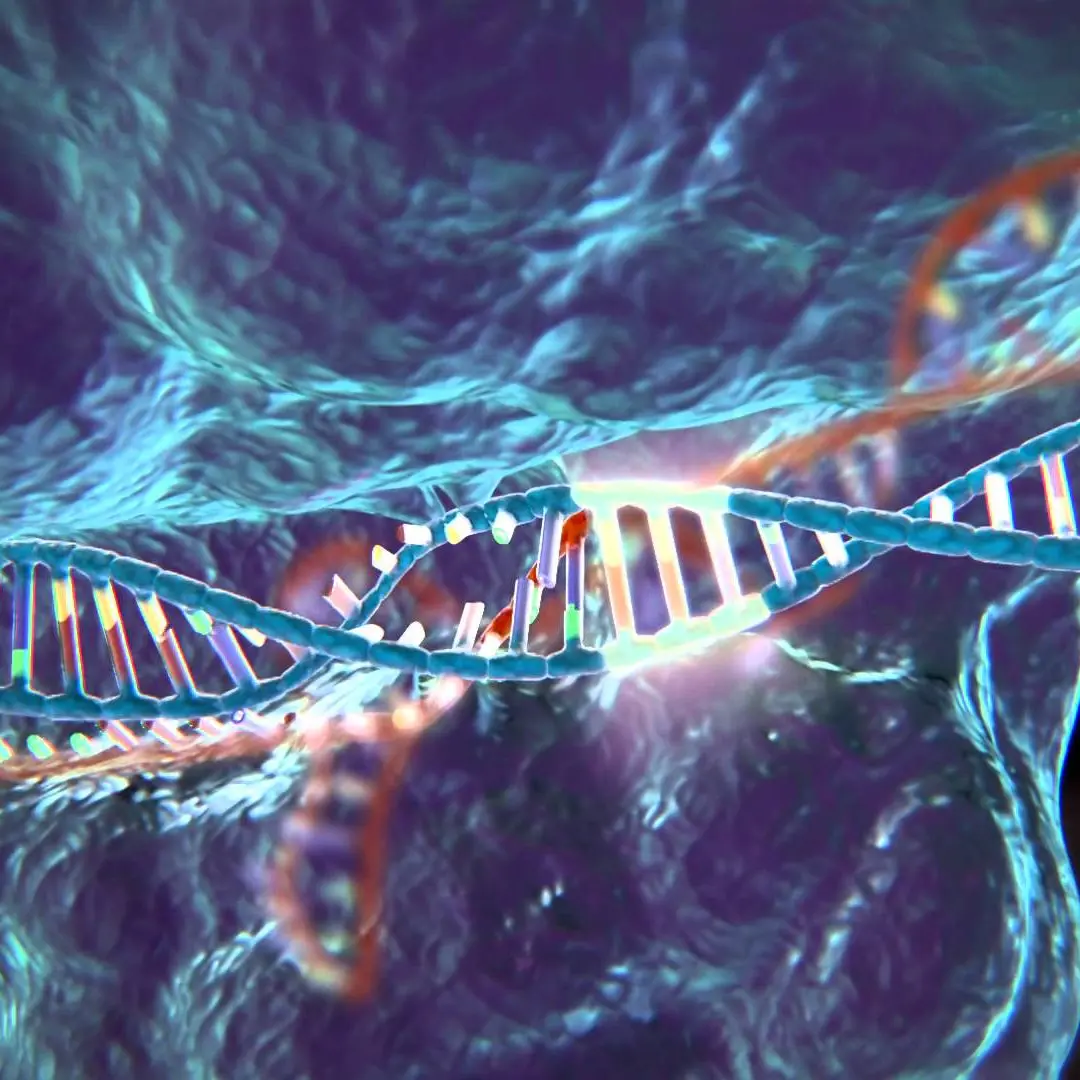 Crispr, l'ultima parte della storia