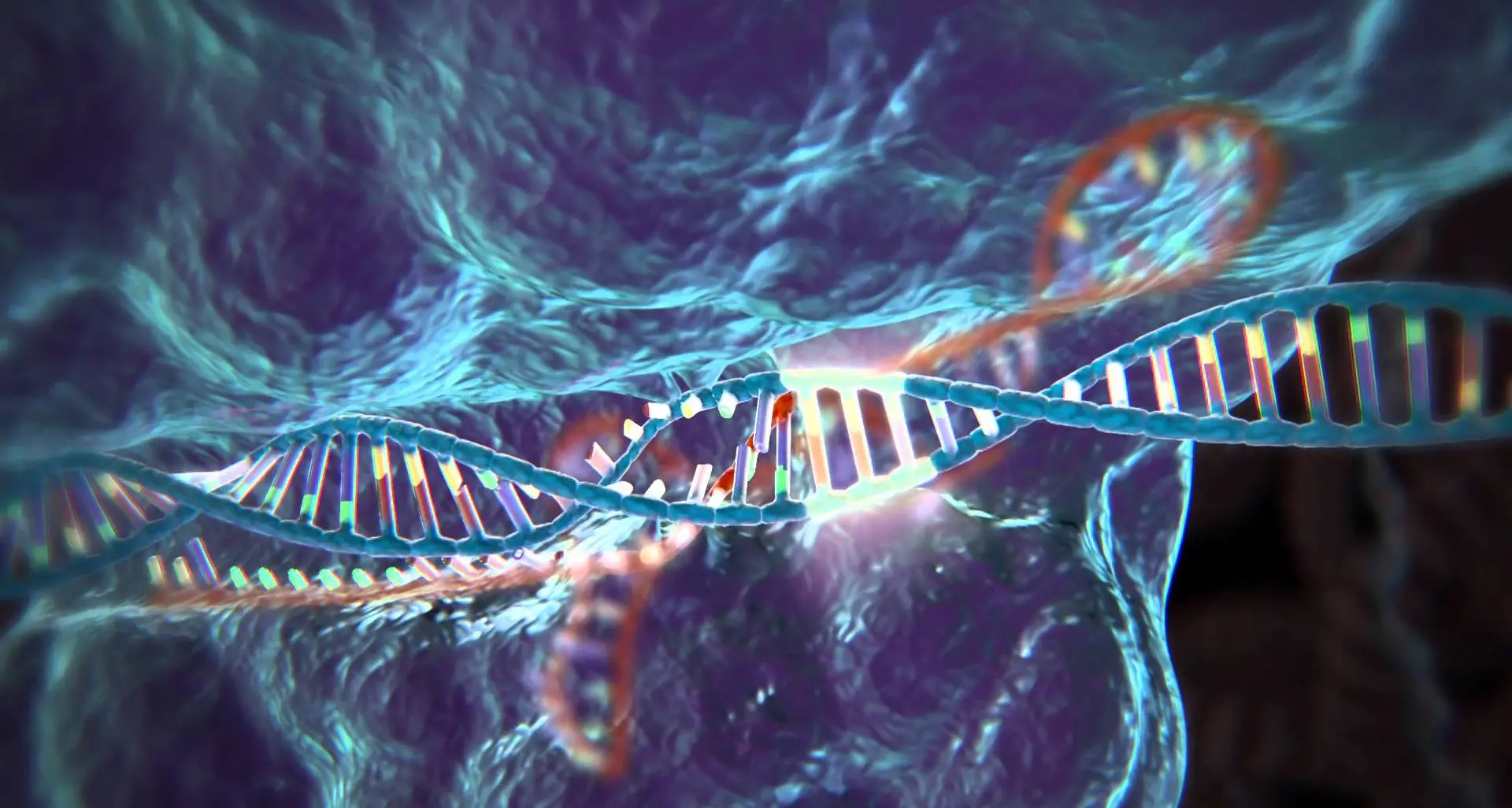 Crispr, l'ultima parte della storia