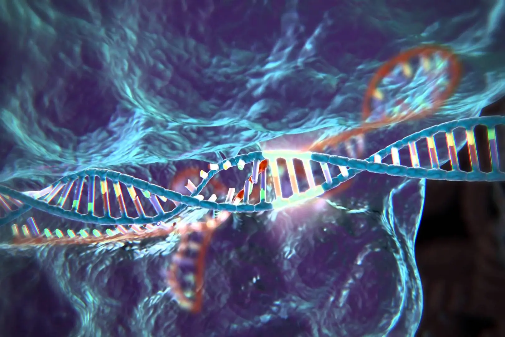 Crispr, l'ultima parte della storia