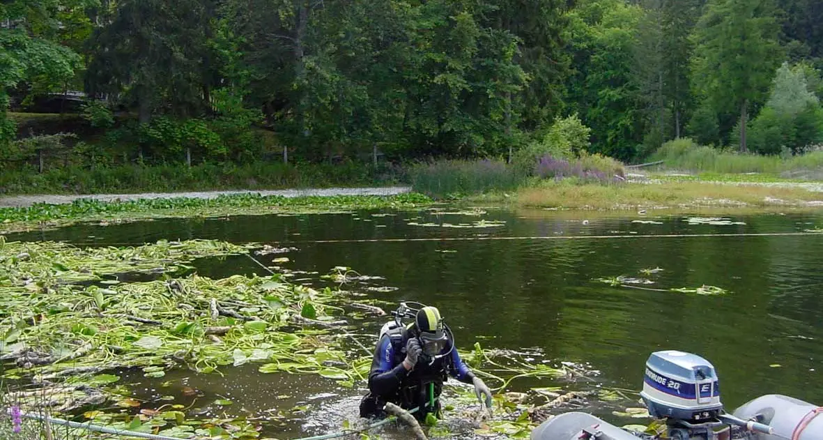 Cei, si sente male al lago: salvato dai sub