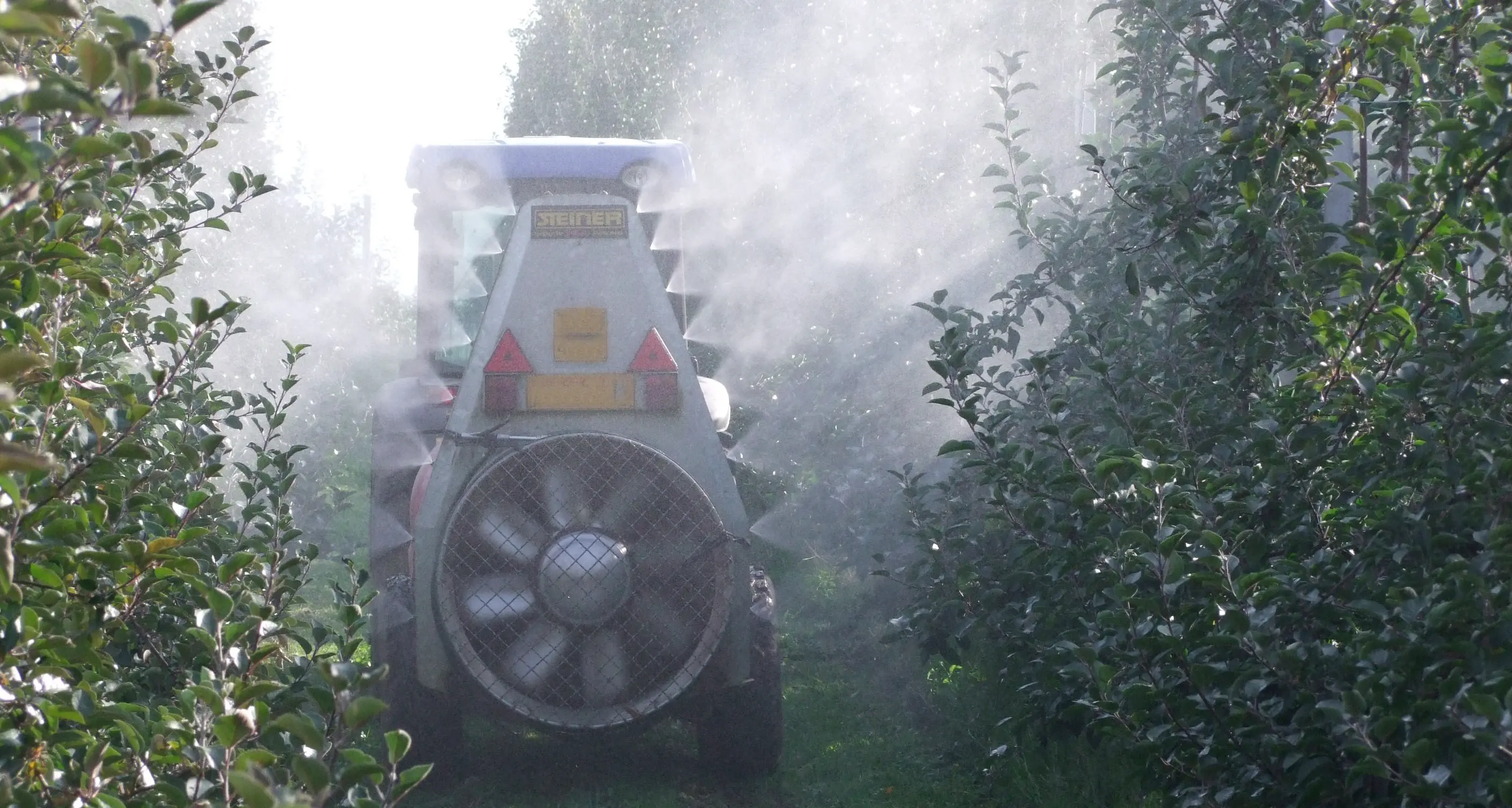Erbicida e salute Il glifosato rimane