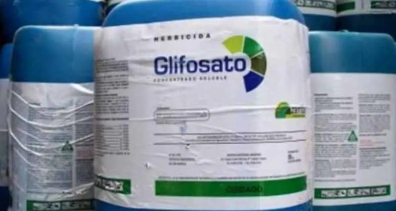 Glifosato, nuovo allarme sul diserbante M5S e Verdi: una sostanza da vietare