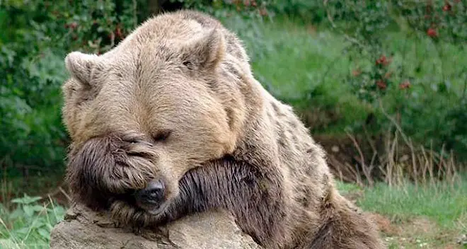 Riva, inguaiato dalla collana fatta con gli artigli di orso