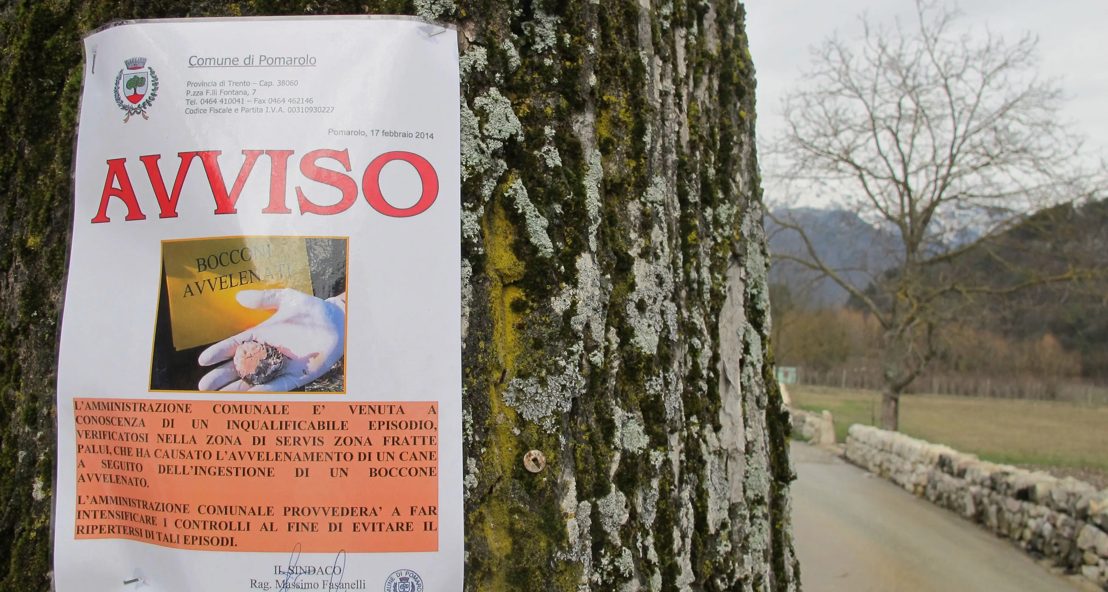 Contro i bocconi avvelenati, la marcia della Lav