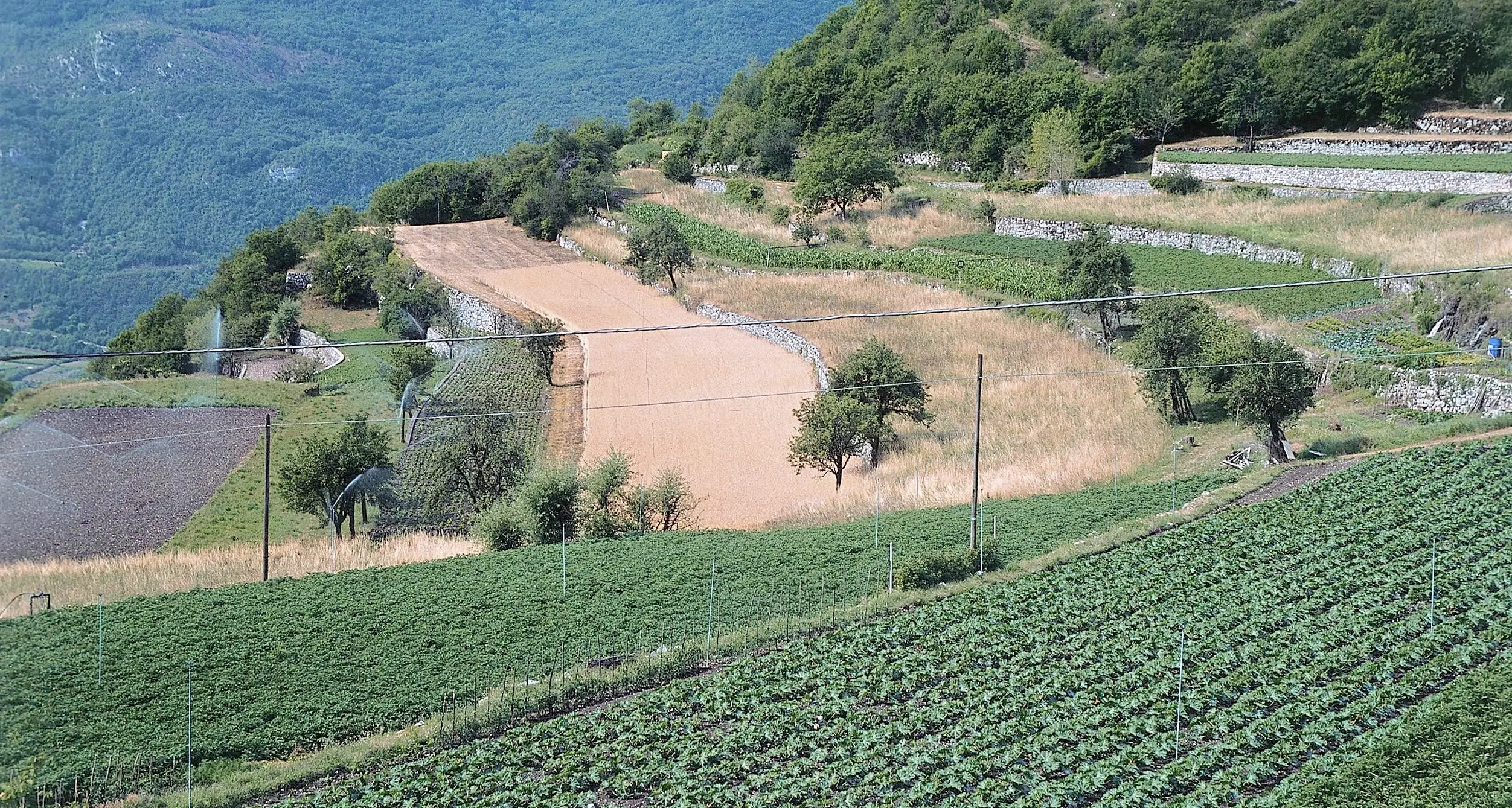 Consumo di suolo, contadini trentini in allarme