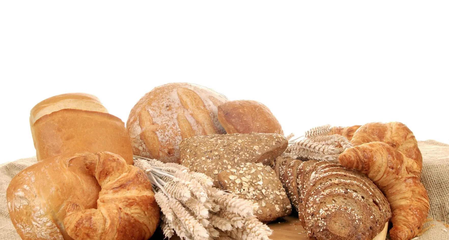 Lo spreco di cibo da combattere
