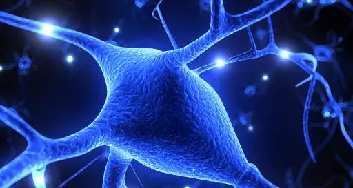 Sclerosi multipla, ogni tre ore in Italia diagnosticato un nuovo caso