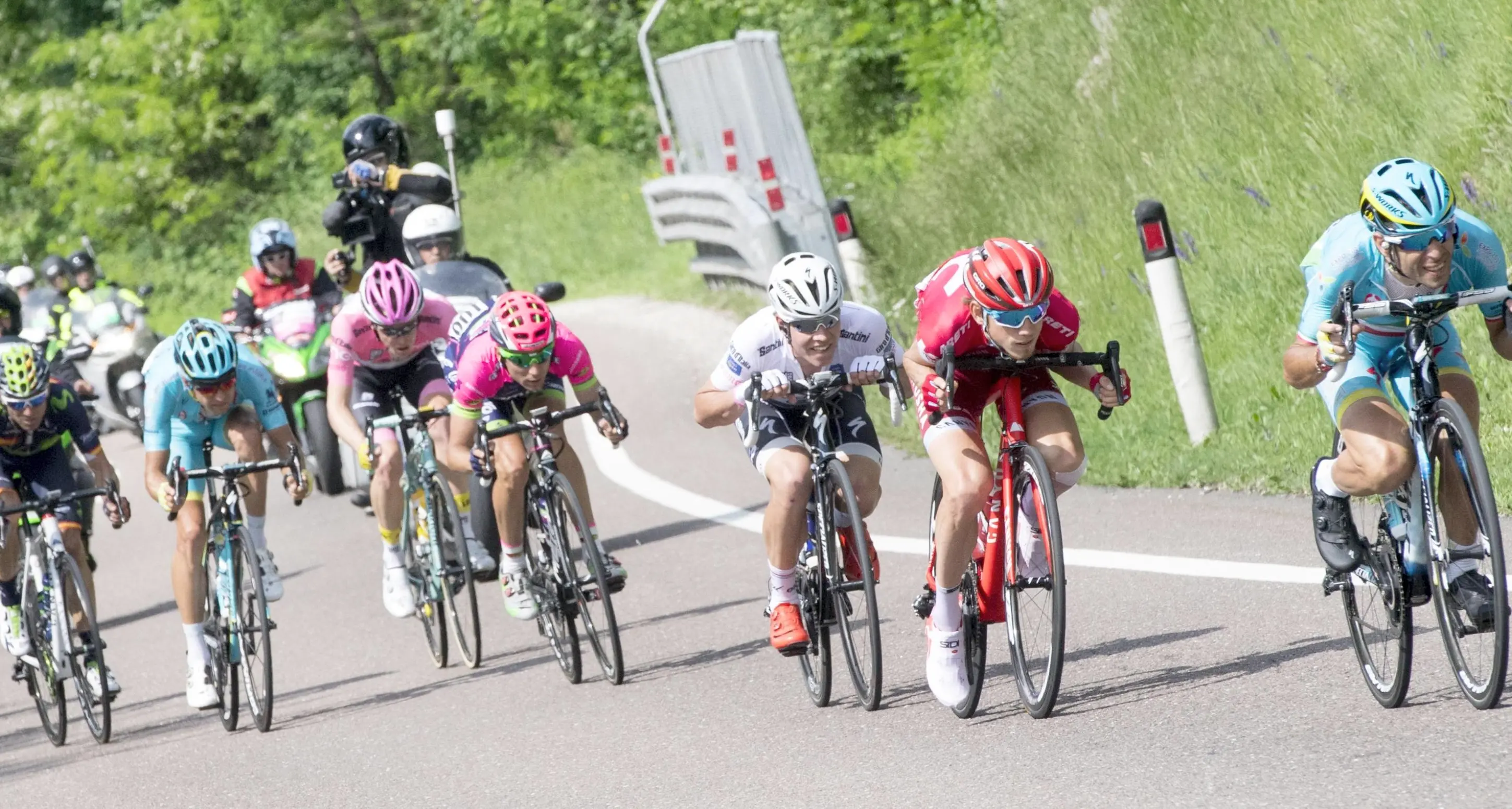Passa il Giro d'Italia: sms ai contadini «Turisti e tv: sospendete i trattamenti»