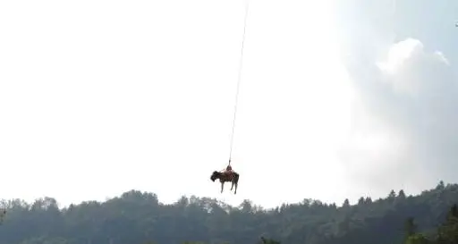 Manza dispersa salvata in elicottero