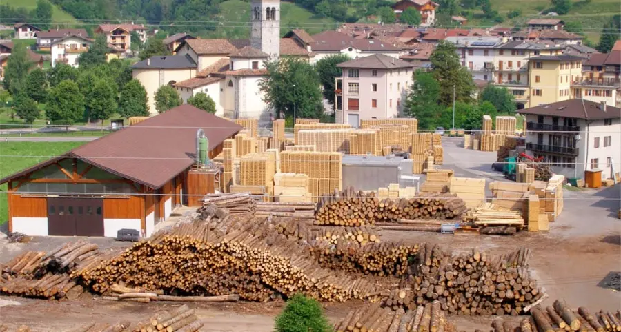Contro la centrale a biomassa progettata a Tiarno di Sopra