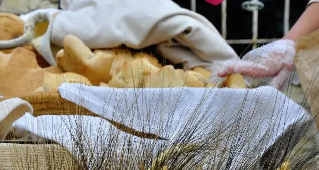 Cultura alimentare alpina candidata a patrimonio Unesco Cinque i «prodotti trentini»