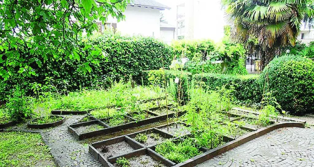 Scuola, gli alunni curano piante e spazi verdi