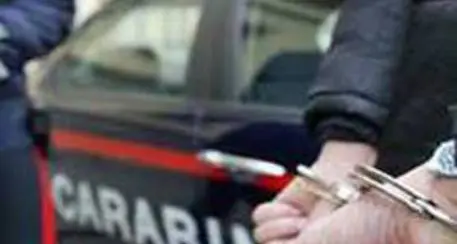 Topo d'appartamento individuato grazie al lavoro del Ris di Parma