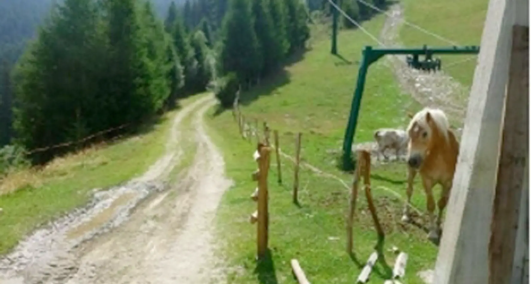 Una nuova pista per le slitte sulla neve della Panarotta