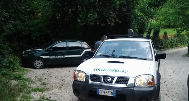 La Provincia per risparmiare venderà 267 veicoli Saranno sostituiti da 170 mezzi presi a noleggio
