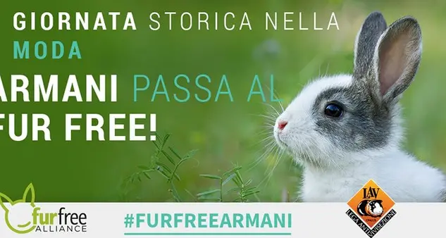 Armani, basta alle pellicce animali