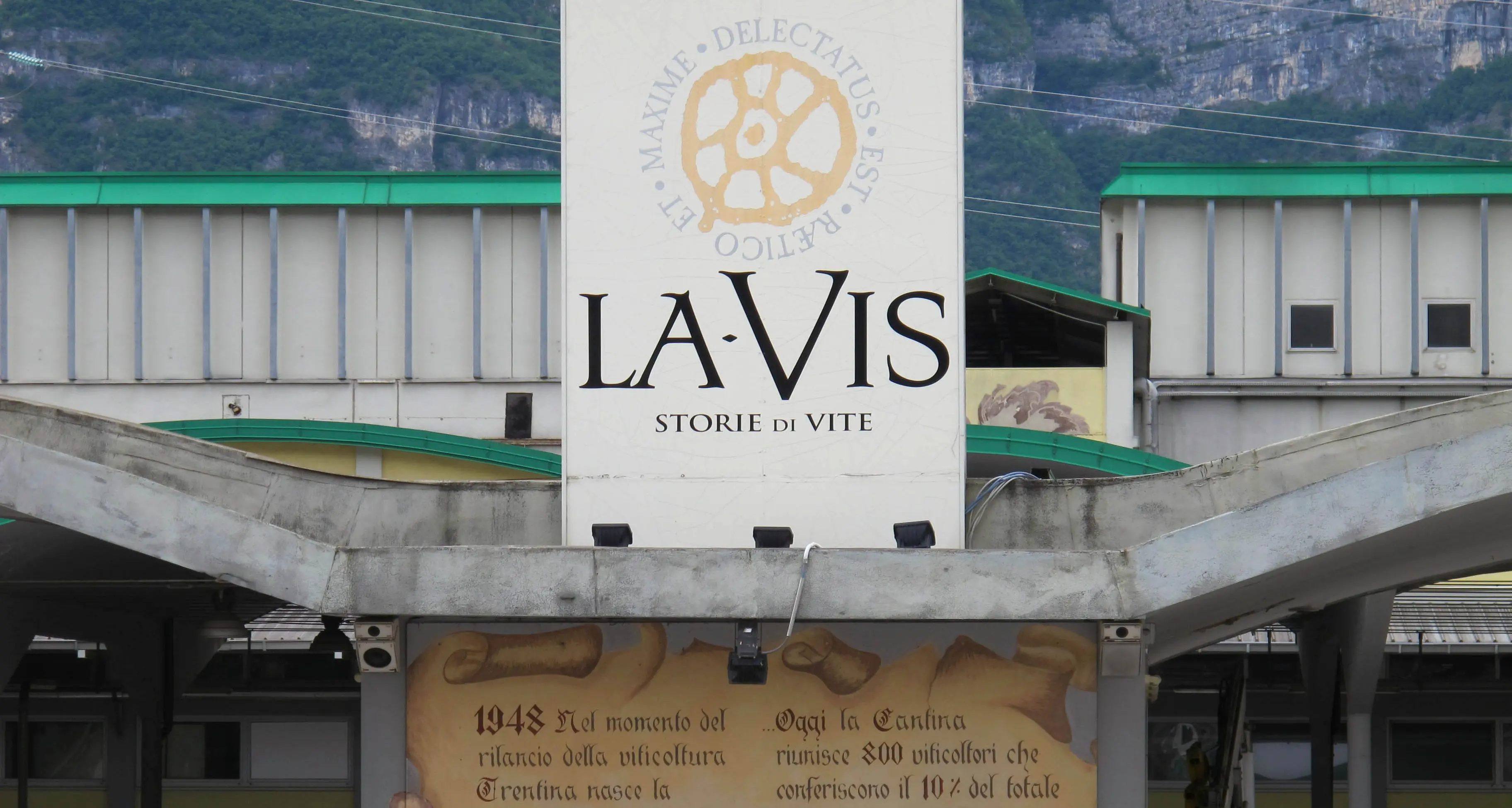 LaVis, il bilancio è buono Aumento del fatturato del 7,8%