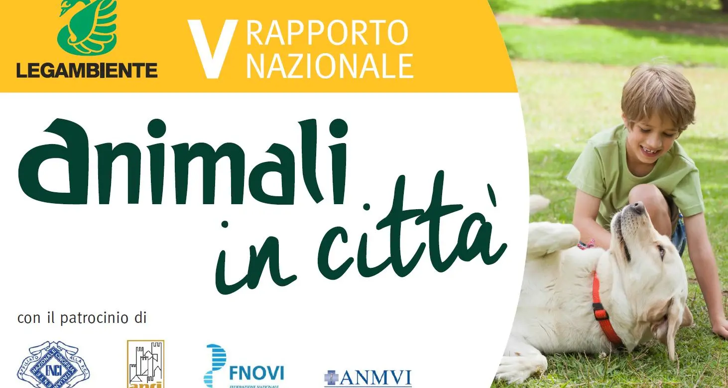 Spesa pubblica per cani e gatti sfiora i 250 milioni di euro
