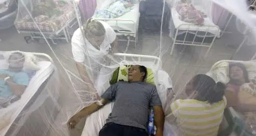 Zika, tre casi in Veneto dall'inizio dell'anno