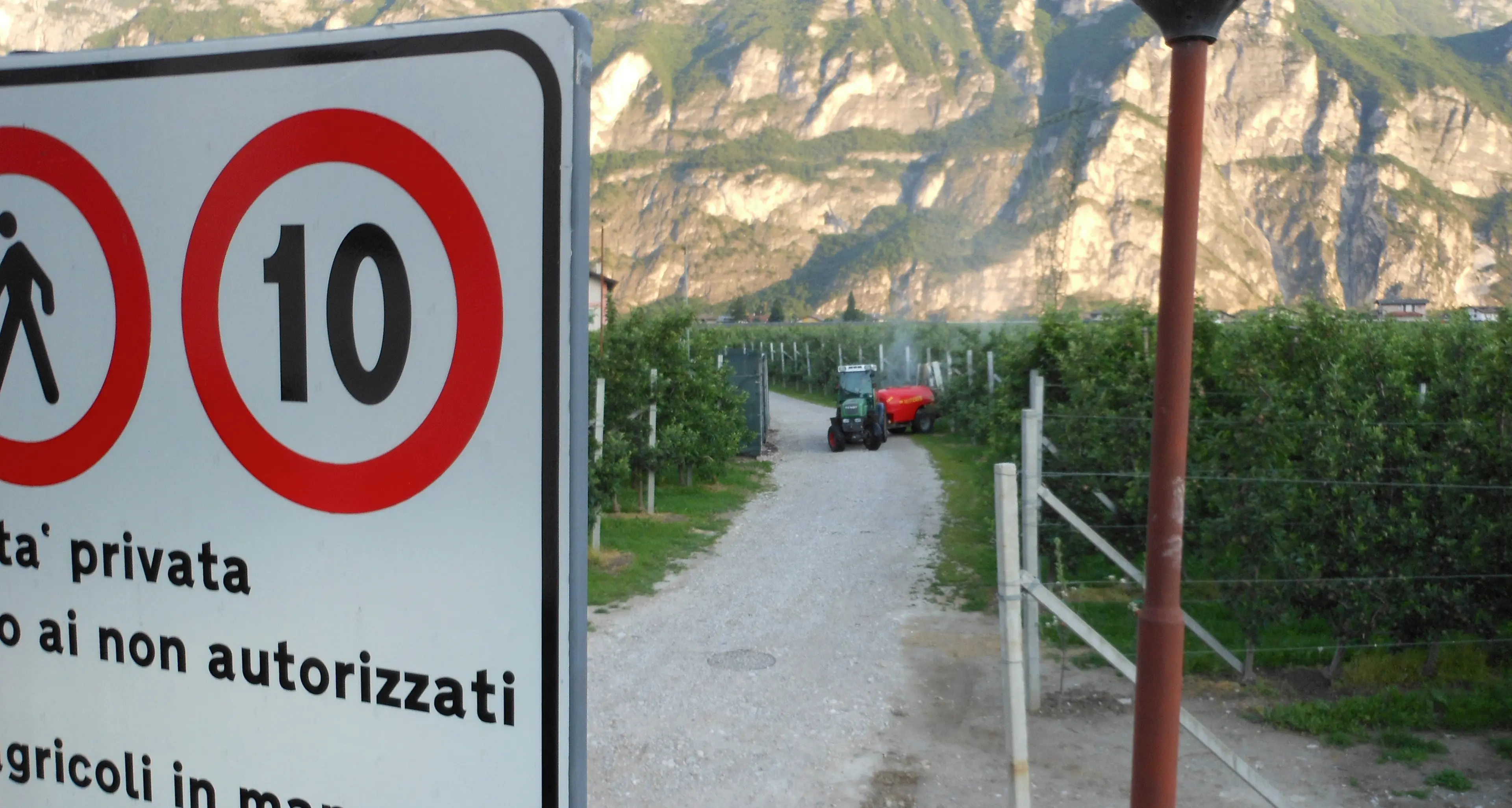 Pesticidi vicino all'asilo Assolto l'agricoltore