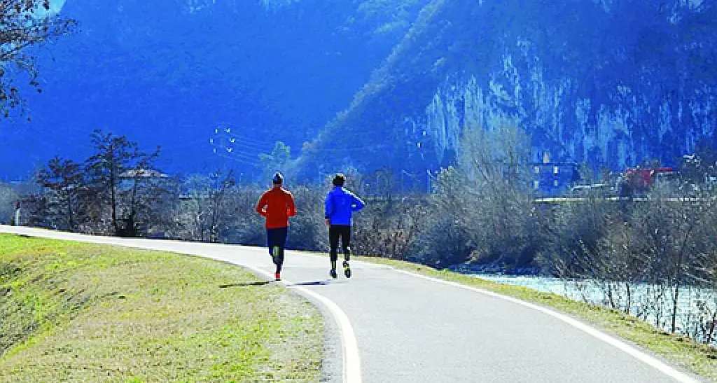 Il taglio obbligato delle robinie sulla ciclabile: i runner protestano