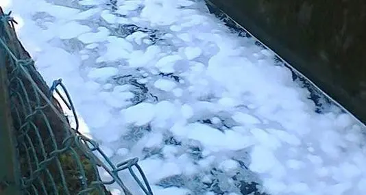 Industrie, sul Rio Coste altro sversamento sospetto