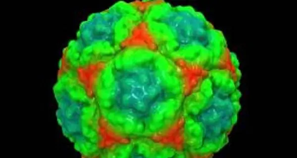Omeopatia: studio, efficace quanto un effetto placebo