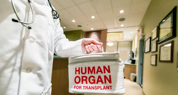 Donazione di organi e tessuti, ad Arco è sulla carta d'identità