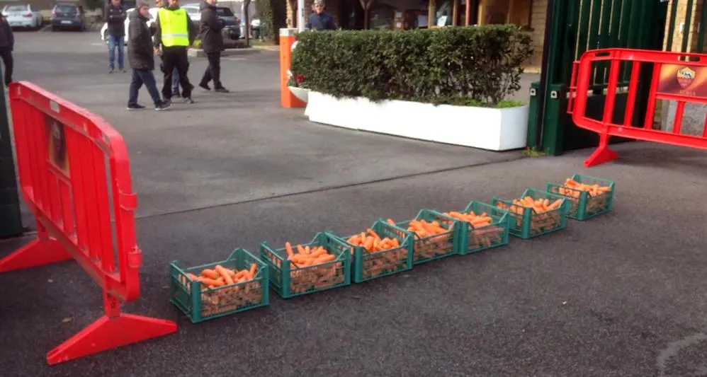 «Buon appetito conigli!» A Trigoria la protesta con le carote