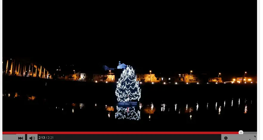 Ecco come ha preso corpo il favoloso albero di Natale sull'Adige - Video