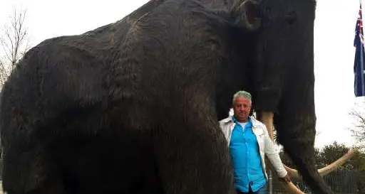 Sant'Orsola, al museo sta per arrivare un mammut