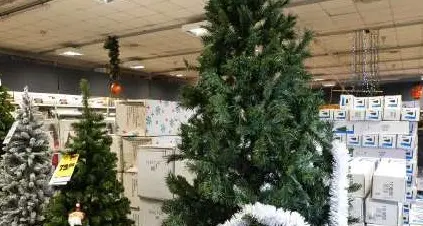 L'albero di Natale? Sì, ma meglio vero