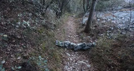 Bastoni tra le ruote dei bikers sui sentieri del Bosco Caproni