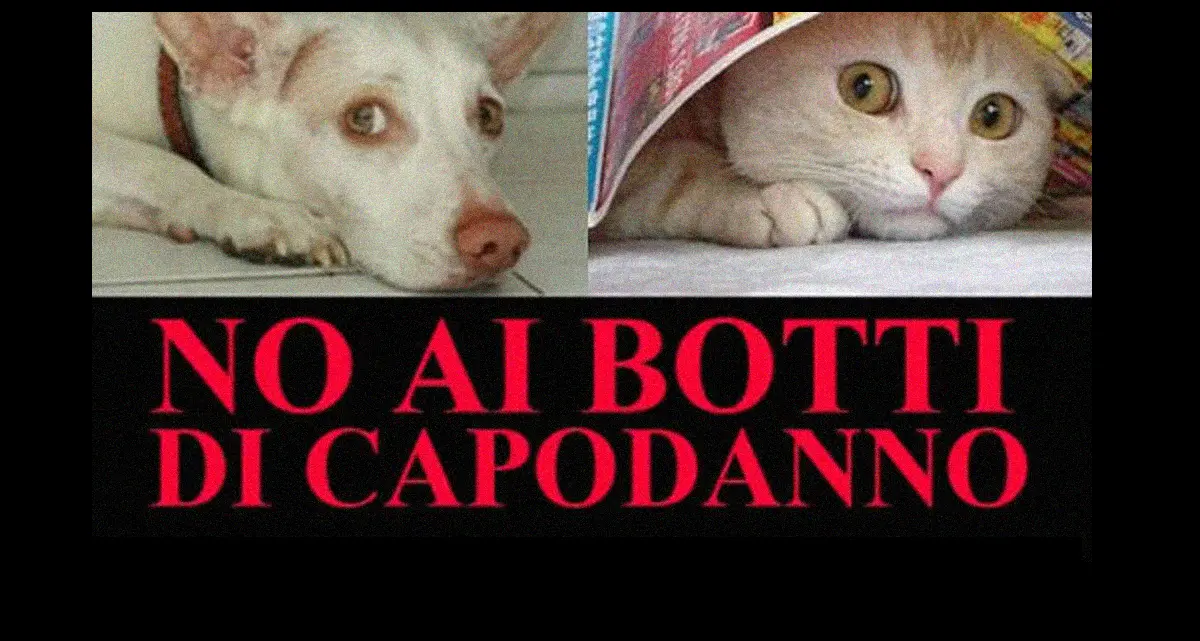 Botti vietati in Trentino fuori dai centri abitati Si valuta il bando anche nelle città e nei paesi