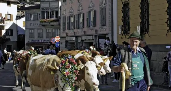 In Fiemme e Fassa la zootecnia è più giovane e più...donna
