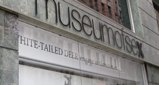 I musei americani chiudono ma tutti offrono tour virtuali per una visita almeno online