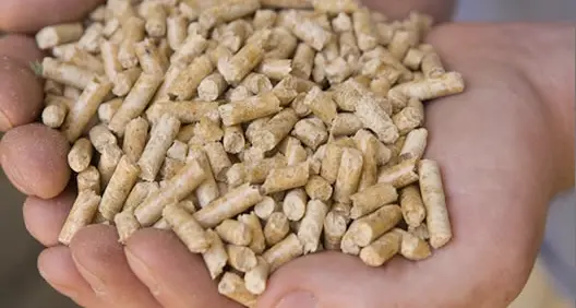 Manovra, salta il taglio dell'Iva sul pellet Niente riduzione al 10%: resta al 22%