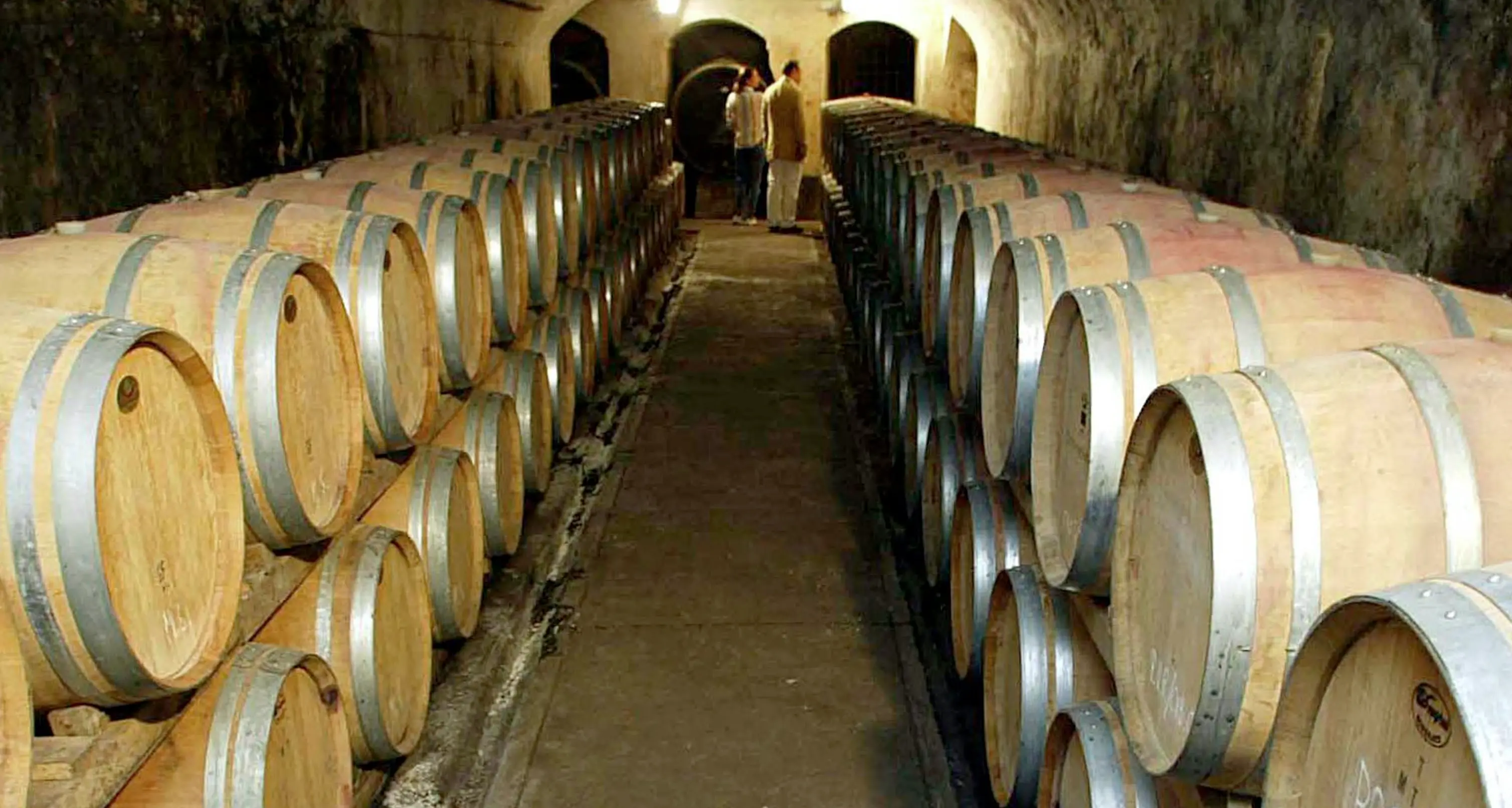 Ladri di vino in cantina Denunciati due fratelli